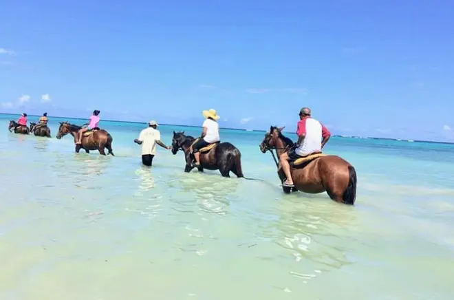 Reiten in Ocho Rios: Blue Hole & Secret Falls