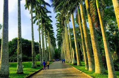 Aburi Botanischer Garten & Kakaofarm Tour: Accra