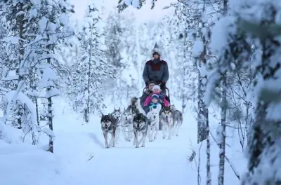 10 KM Self-Driven Husky Sled in Rovaniemi: Be the Musher