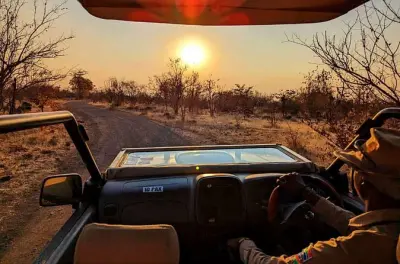 Zambezi National Park Safari: Early Entry Small Group