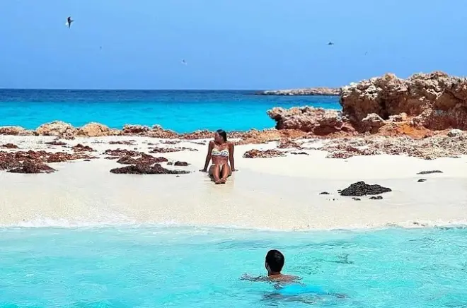Snorkeling Daymaniyat Islands from Muscat: Swim with Turtles