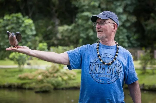 Oahu Private Tour: Personalized to Your Interests