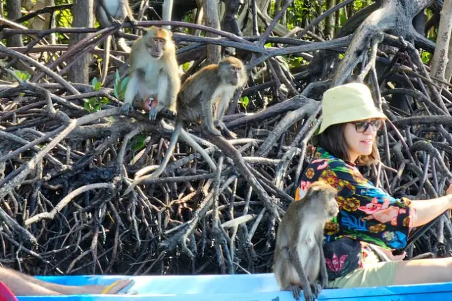Kayak nella foresta di mangrovie di Thungyeepeng a Ko Lanta