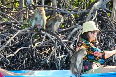Kayak nella foresta di mangrovie di Thungyeepeng a Ko Lanta