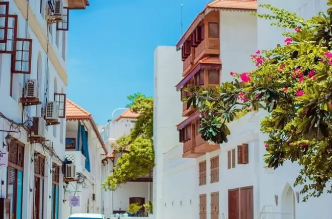 Visite de Zanzibar : Forêt de Jozani, ferme d’épices et Stone Town