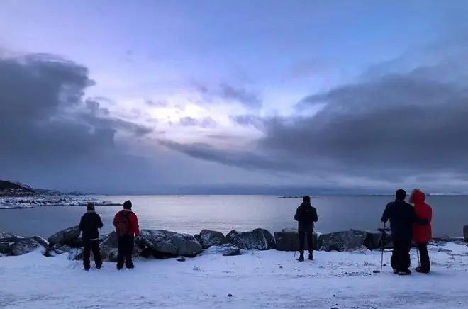 Bodø : Visite guidée des plages de sable sur la côte arctique