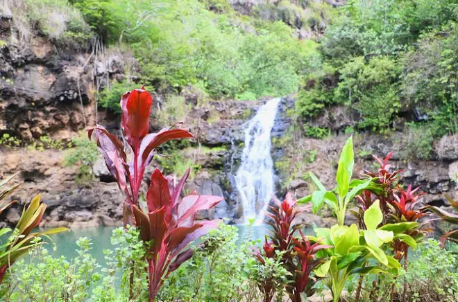 Nuoto alla cascata di Waimea e Dole Plantation da Waikiki