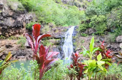 Baignade à Waimea et visite de la plantation Dole depuis Waikiki