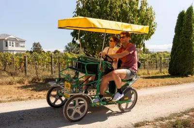 Self-Guided Cycle Tour Martinborough: Wine Village at Your Pace