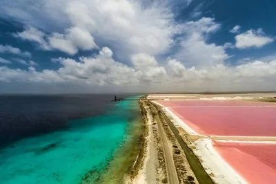 Feel bonaire’s real pace with a small group tour—see flamingos at goto meer, taste local spirits in rincon, and visit salt flats. includes hotel or ship pickup.