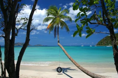 Vivi un charter privato alle usvi con tappe in spiaggia, snorkeling a lovango cay e relax con musica a bordo. include pickup in hotel e attrezzatura snorkeling.