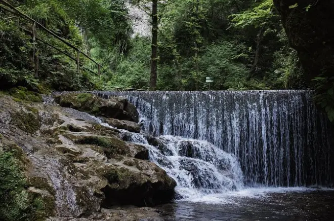 Senderismo privado en valle delle Ferriere: Plantas raras y cascadas