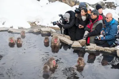 Nagano passeio de um dia: Macacos da neve, templo e saquê