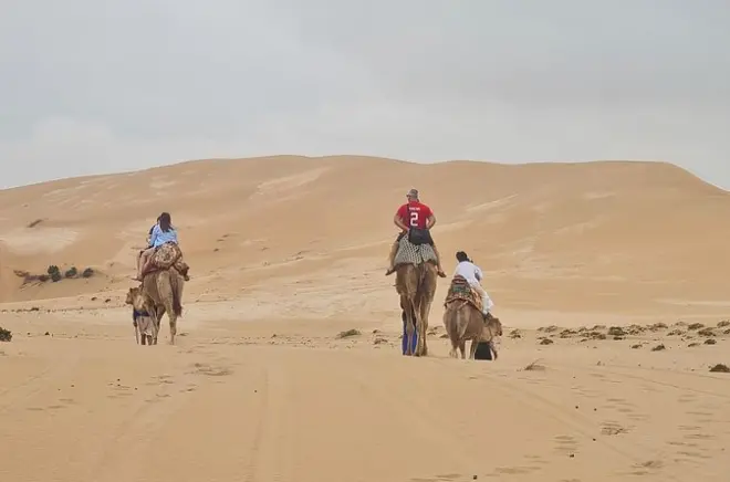 Agadir Desert Adventure: Camel Ride, Quad Biking & Sandboarding