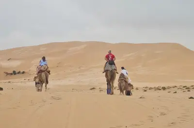 Agadir Desert Adventure: Camel Ride, Quad Biking & Sandboarding