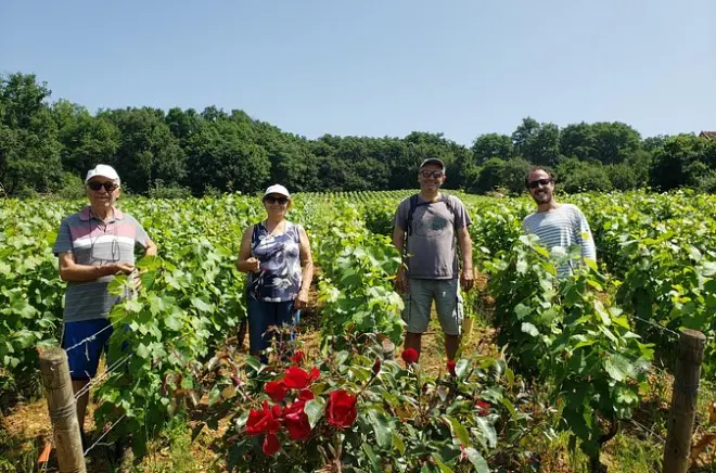 Tour privato in Borgogna da Beaune: Guida personale e ritmo tuo