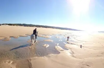Horseback Riding in Almada: Beach, Mountain & Lesson Options