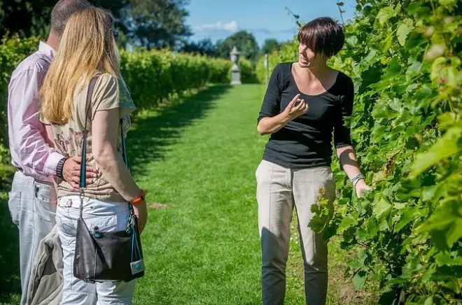 Dégustations de chardonnay et pinot noir à Beaune avec guide