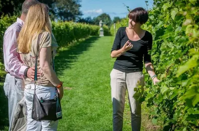 Weintour Beaune: Chardonnay- und Pinot-Noir-Verkostungen mit Guide