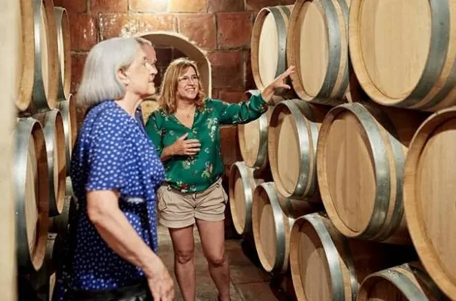 Borgogna tra Beaune e Dijon con guida privata e degustazioni vini