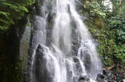 Nordeste 4x4 tour from Ponta Delgada: Tronqueira mountain range