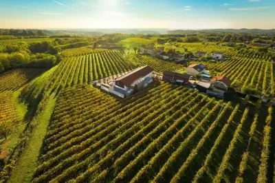 Conegliano Valdobbiadene Prosecco Superiore Tasting Tour