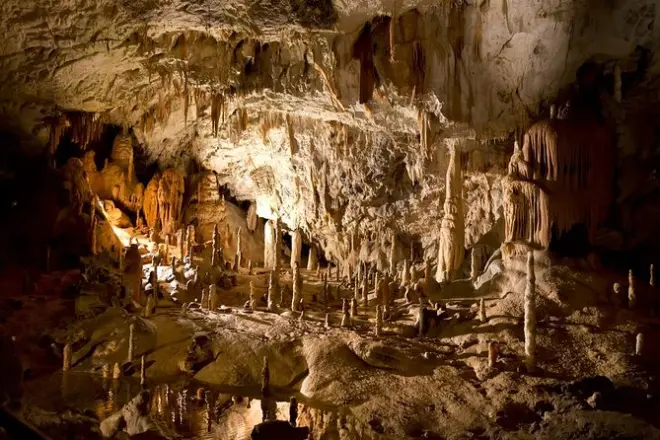 Postojna-Höhle & Burg Predjama ab slowenischer Küste