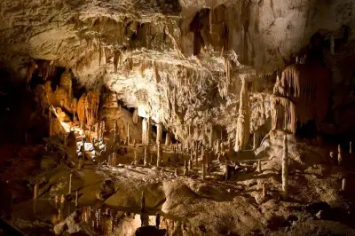 Postojna-Höhle & Burg Predjama ab slowenischer Küste