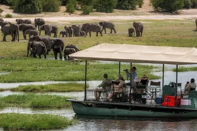 Chobe Day Trip Safari from Livingstone: Game Drive & River Cruise