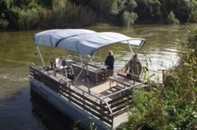 Safari Big 5 y paseo en barco en Eastern Cape con almuerzo incluido