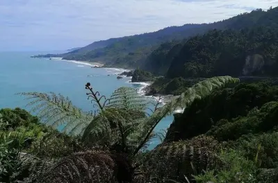 Costa Oeste de Greymouth: Focas e cerveja em Punakaiki