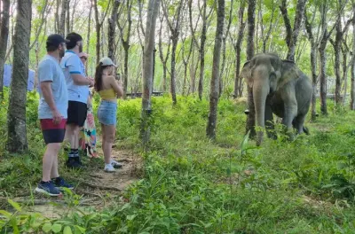 Khao Lak Elephant Sanctuary: Herbal workshop, Thai cooking class
