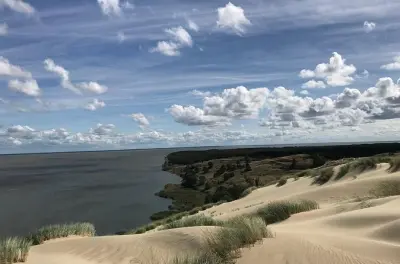 Península de Curlandia desde Vilnius con guía privado y fauna