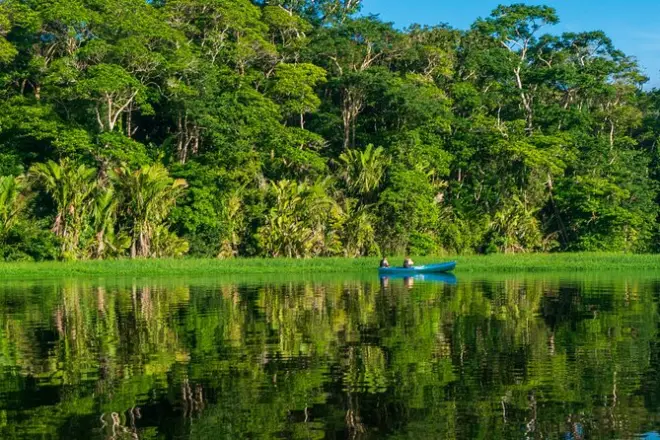Canoë, randonnée et faune nocturne à Tortuguero : 4 activités