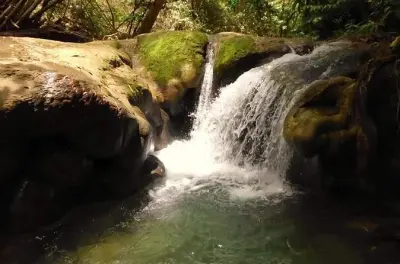 Promenade nature aux chutes Mayfield depuis Montego Bay : 20 bassins