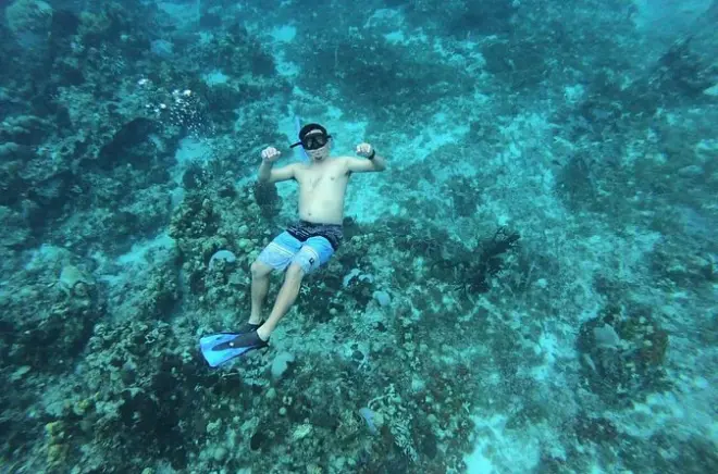 Schnorcheln in Cozumel ab Tulum: Drei Riffe & El Cielo