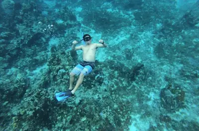 Snorkeling à Cozumel depuis Tulum : Trois récifs et El Cielo