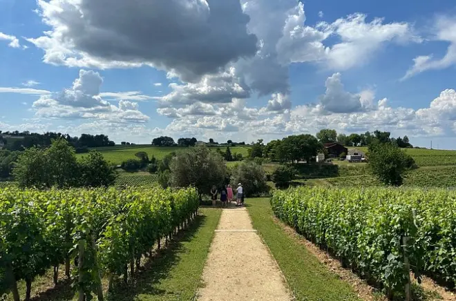 Excursion à Saint-Émilion : Dégustations de vins dans 3 châteaux