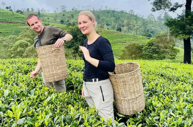 Tour pela fábrica e plantação de chá em Nuwara Eliya: 5 horas