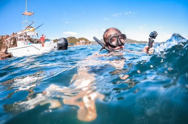 Isla Tortuga: Tour en barco con snorkel, playa y monos