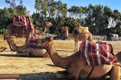 Tangier Private Day Tour: Kasbah, Hercules Caves & Cape Spartel