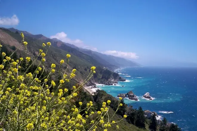 Big Sur & Monterey Coast tour from San Jose: Private SUV