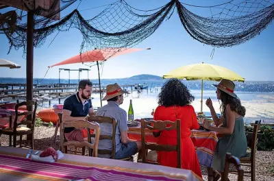 Languedoc Wine and Oyster Tour from Sète: Private Half-Day