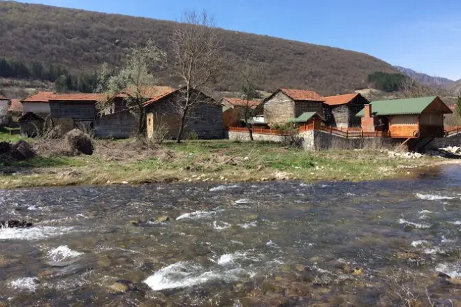 Stara Planina Tagesausflug ab Niš: Wilde Pferde & Bergwanderung