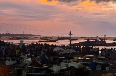 Kartong 2 giorni: Piscina coccodrilli, parco scimmie, spiagge