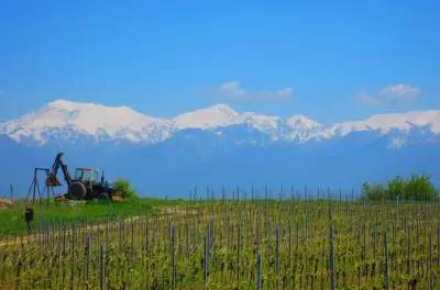 Dégustations et déjeuner local dans la vallée de Savalan depuis Baku