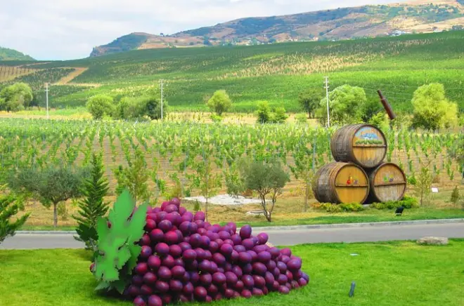 Vignoble bio et déjeuner local à Shamakhi depuis Baku