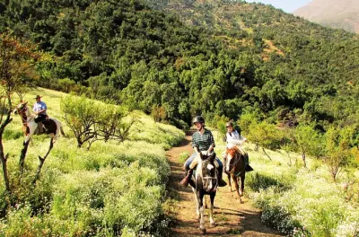 Reiten in Santiago: Anden mit Picknick und Wein