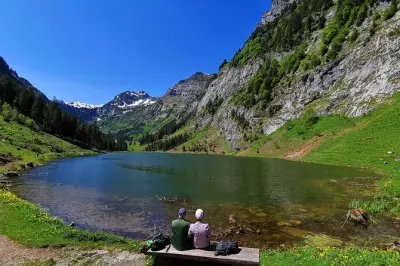 Schweiz Tour Zürich: Verborgene Juwelen und Alpenblicke