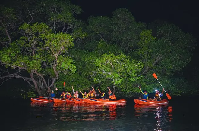 Tour en canoa por los manglares de Bali al atardecer: Fauna nocturna